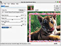 Лучшие рамки для фотографий в Photoshop CS2